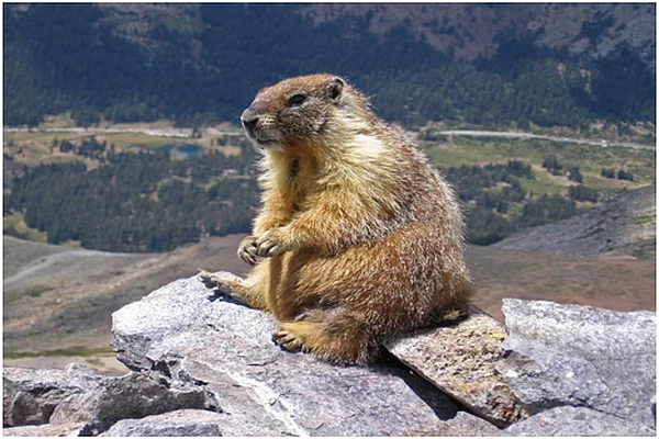 Changtang Wildlife Sanctuary