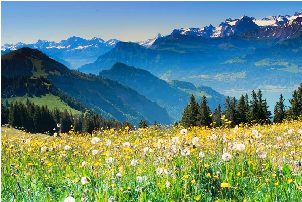 Switzerland