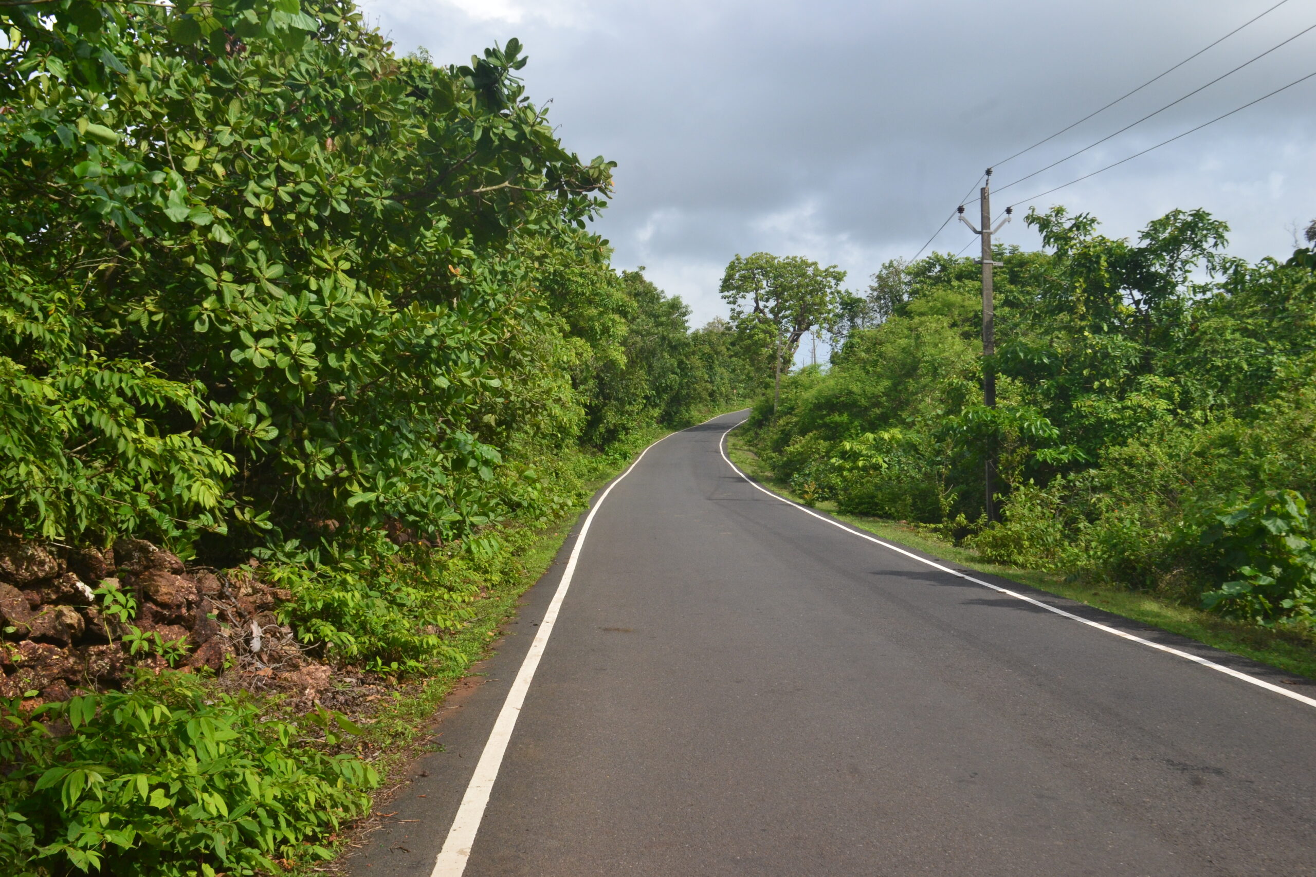Canacona_Road_Goa