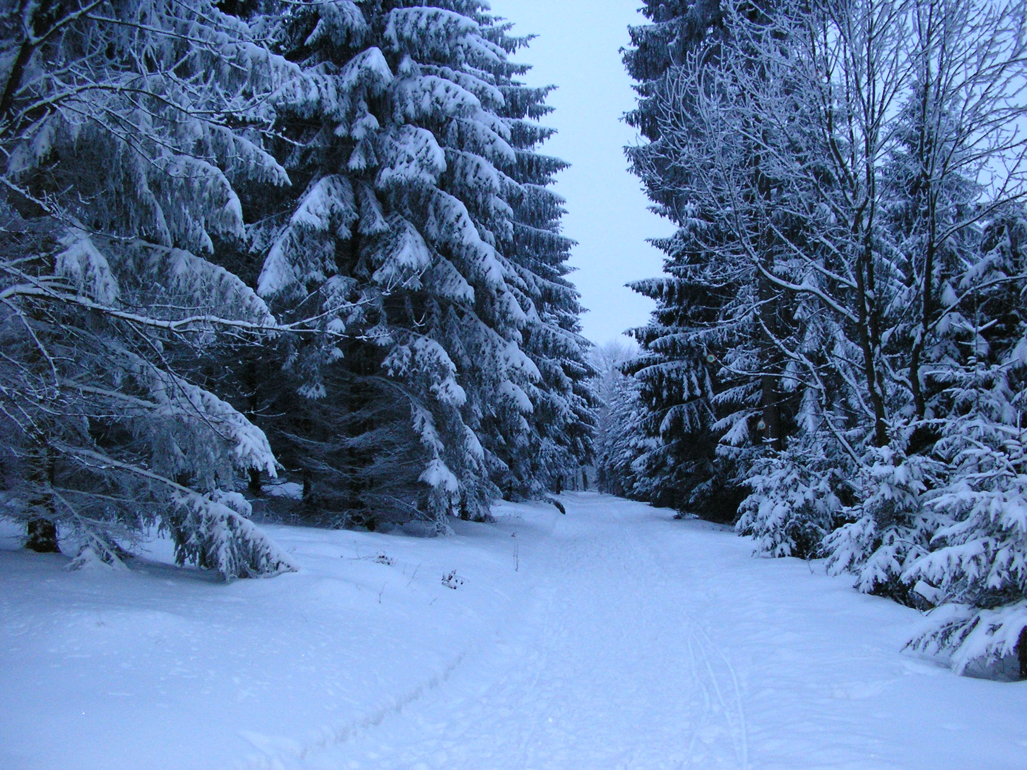 Winter Holiday