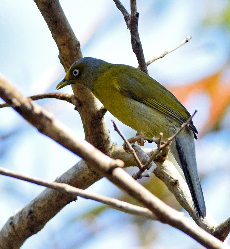 wildlife sanctuaries