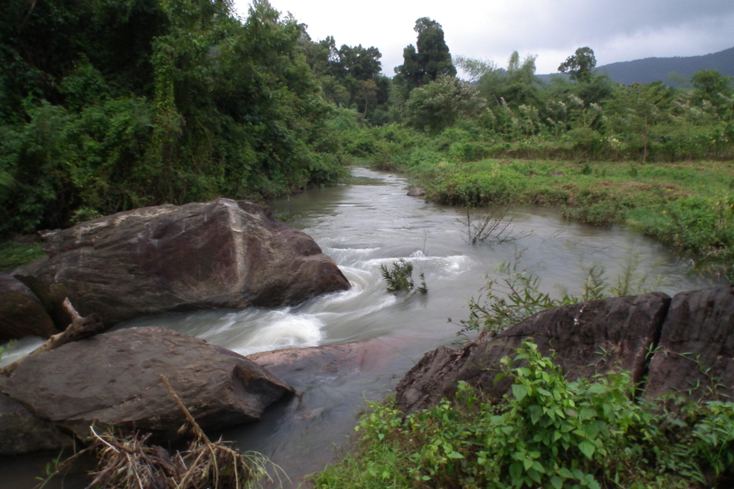 Coorg