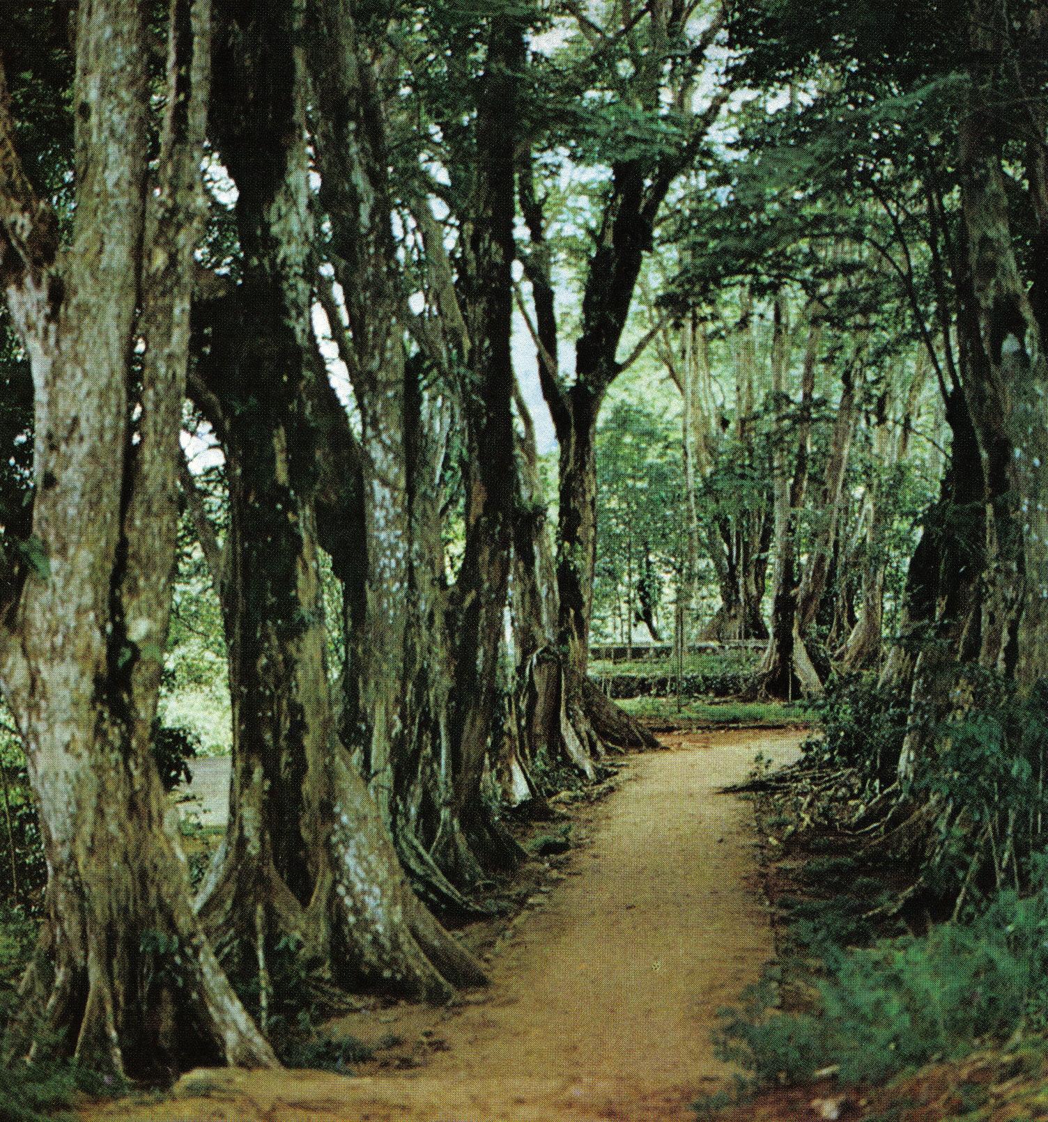 Seychellois National Park