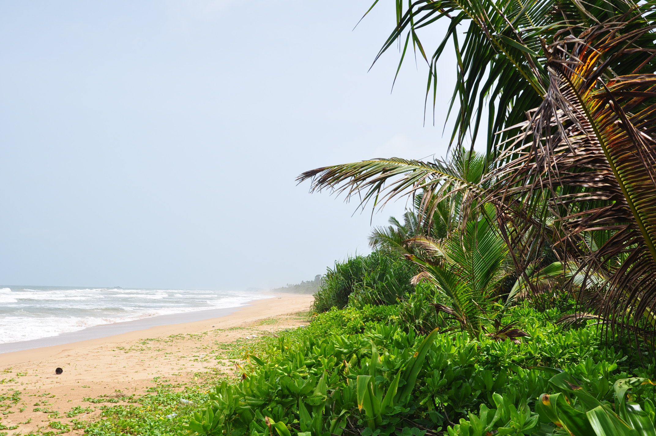 Srilanka
