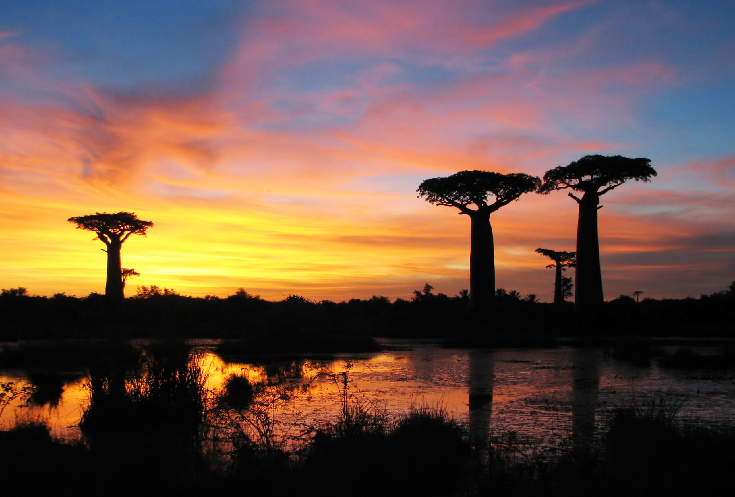 Madagascar