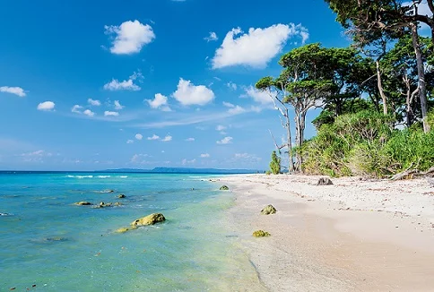 Andaman & Nicobar Islands