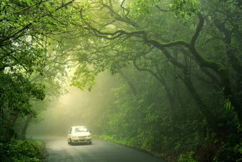 Bhandardara
