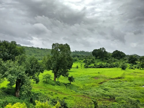 Karnala
