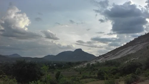 Horsley Hills