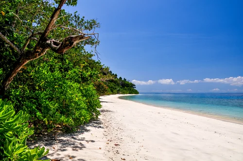 Elephant Beach