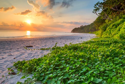 Radhanagar Beach