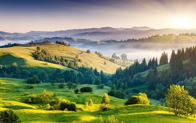 {"type":"elementor","siteurl":"https://www.sotc.in/blog/wp-json/","elements":[{"id":"ba90766","elType":"widget","isInner":false,"isLocked":false,"settings":{"image":{"url":"https://www.sotc.in/blog/wp-content/uploads/2019/08/udaipur-2311788_640.webp","id":12053,"size":"","alt":"Udaipur","source":"library"},"image_size":"full","align":"start","image_custom_dimension":{"width":"","height":""},"caption_source":"none","caption":"","link_to":"none","link":{"url":"","is_external":"","nofollow":"","custom_attributes":""},"open_lightbox":"default","align_tablet":"","align_mobile":"","width":{"unit":"%","size":"","sizes":[]},"width_tablet":{"unit":"%","size":"","sizes":[]},"width_mobile":{"unit":"%","size":"","sizes":[]},"space":{"unit":"%","size":"","sizes":[]},"space_tablet":{"unit":"%","size":"","sizes":[]},"space_mobile":{"unit":"%","size":"","sizes":[]},"height":{"unit":"px","size":"","sizes":[]},"height_tablet":{"unit":"px","size":"","sizes":[]},"height_mobile":{"unit":"px","size":"","sizes":[]},"object-fit":"","object-fit_tablet":"","object-fit_mobile":"","object-position":"center center","object-position_tablet":"","object-position_mobile":"","opacity":{"unit":"px","size":"","sizes":[]},"css_filters_css_filter":"","css_filters_blur":{"unit":"px","size":0,"sizes":[]},"css_filters_brightness":{"unit":"px","size":100,"sizes":[]},"css_filters_contrast":{"unit":"px","size":100,"sizes":[]},"css_filters_saturate":{"unit":"px","size":100,"sizes":[]},"css_filters_hue":{"unit":"px","size":0,"sizes":[]},"opacity_hover":{"unit":"px","size":"","sizes":[]},"css_filters_hover_css_filter":"","css_filters_hover_blur":{"unit":"px","size":0,"sizes":[]},"css_filters_hover_brightness":{"unit":"px","size":100,"sizes":[]},"css_filters_hover_contrast":{"unit":"px","size":100,"sizes":[]},"css_filters_hover_saturate":{"unit":"px","size":100,"sizes":[]},"css_filters_hover_hue":{"unit":"px","size":0,"sizes":[]},"background_hover_transition":{"unit":"px","size":"","sizes":[]},"hover_animation":"","image_border_border":"","image_border_width":{"unit":"px","top":"","right":"","bottom":"","left":"","isLinked":true},"image_border_width_tablet":{"unit":"px","top":"","right":"","bottom":"","left":"","isLinked":true},"image_border_width_mobile":{"unit":"px","top":"","right":"","bottom":"","left":"","isLinked":true},"image_border_color":"","image_border_radius":{"unit":"px","top":"","right":"","bottom":"","left":"","isLinked":true},"image_border_radius_tablet":{"unit":"px","top":"","right":"","bottom":"","left":"","isLinked":true},"image_border_radius_mobile":{"unit":"px","top":"","right":"","bottom":"","left":"","isLinked":true},"image_box_shadow_box_shadow_type":"","image_box_shadow_box_shadow":{"horizontal":0,"vertical":0,"blur":10,"spread":0,"color":"rgba(0,0,0,0.5)"},"caption_align":"","caption_align_tablet":"","caption_align_mobile":"","text_color":"","caption_background_color":"","caption_typography_typography":"","caption_typography_font_family":"","caption_typography_font_size":{"unit":"px","size":"","sizes":[]},"caption_typography_font_size_tablet":{"unit":"px","size":"","sizes":[]},"caption_typography_font_size_mobile":{"unit":"px","size":"","sizes":[]},"caption_typography_font_weight":"","caption_typography_text_transform":"","caption_typography_font_style":"","caption_typography_text_decoration":"","caption_typography_line_height":{"unit":"px","size":"","sizes":[]},"caption_typography_line_height_tablet":{"unit":"em","size":"","sizes":[]},"caption_typography_line_height_mobile":{"unit":"em","size":"","sizes":[]},"caption_typography_letter_spacing":{"unit":"px","size":"","sizes":[]},"caption_typography_letter_spacing_tablet":{"unit":"px","size":"","sizes":[]},"caption_typography_letter_spacing_mobile":{"unit":"px","size":"","sizes":[]},"caption_typography_word_spacing":{"unit":"px","size":"","sizes":[]},"caption_typography_word_spacing_tablet":{"unit":"em","size":"","sizes":[]},"caption_typography_word_spacing_mobile":{"unit":"em","size":"","sizes":[]},"caption_text_shadow_text_shadow_type":"","caption_text_shadow_text_shadow":{"horizontal":0,"vertical":0,"blur":10,"color":"rgba(0,0,0,0.3)"},"caption_space":{"unit":"px","size":"","sizes":[]},"caption_space_tablet":{"unit":"px","size":"","sizes":[]},"caption_space_mobile":{"unit":"px","size":"","sizes":[]},"_title":"","_margin":{"unit":"px","top":"","right":"","bottom":"","left":"","isLinked":true},"_margin_tablet":{"unit":"px","top":"","right":"","bottom":"","left":"","isLinked":true},"_margin_mobile":{"unit":"px","top":"","right":"","bottom":"","left":"","isLinked":true},"_padding":{"unit":"px","top":"","right":"","bottom":"","left":"","isLinked":true},"_padding_tablet":{"unit":"px","top":"","right":"","bottom":"","left":"","isLinked":true},"_padding_mobile":{"unit":"px","top":"","right":"","bottom":"","left":"","isLinked":true},"_element_width":"","_element_width_tablet":"","_element_width_mobile":"","_element_custom_width":{"unit":"%","size":"","sizes":[]},"_element_custom_width_tablet":{"unit":"px","size":"","sizes":[]},"_element_custom_width_mobile":{"unit":"px","size":"","sizes":[]},"_grid_column":"","_grid_column_tablet":"","_grid_column_mobile":"","_grid_column_custom":"","_grid_column_custom_tablet":"","_grid_column_custom_mobile":"","_grid_row":"","_grid_row_tablet":"","_grid_row_mobile":"","_grid_row_custom":"","_grid_row_custom_tablet":"","_grid_row_custom_mobile":"","_flex_align_self":"","_flex_align_self_tablet":"","_flex_align_self_mobile":"","_flex_order":"","_flex_order_tablet":"","_flex_order_mobile":"","_flex_order_custom":"","_flex_order_custom_tablet":"","_flex_order_custom_mobile":"","_flex_size":"","_flex_size_tablet":"","_flex_size_mobile":"","_flex_grow":1,"_flex_grow_tablet":"","_flex_grow_mobile":"","_flex_shrink":1,"_flex_shrink_tablet":"","_flex_shrink_mobile":"","_element_vertical_align":"","_element_vertical_align_tablet":"","_element_vertical_align_mobile":"","_position":"","_offset_orientation_h":"start","_offset_x":{"unit":"px","size":0,"sizes":[]},"_offset_x_tablet":{"unit":"px","size":"","sizes":[]},"_offset_x_mobile":{"unit":"px","size":"","sizes":[]},"_offset_x_end":{"unit":"px","size":0,"sizes":[]},"_offset_x_end_tablet":{"unit":"px","size":"","sizes":[]},"_offset_x_end_mobile":{"unit":"px","size":"","sizes":[]},"_offset_orientation_v":"start","_offset_y":{"unit":"px","size":0,"sizes":[]},"_offset_y_tablet":{"unit":"px","size":"","sizes":[]},"_offset_y_mobile":{"unit":"px","size":"","sizes":[]},"_offset_y_end":{"unit":"px","size":0,"sizes":[]},"_offset_y_end_tablet":{"unit":"px","size":"","sizes":[]},"_offset_y_end_mobile":{"unit":"px","size":"","sizes":[]},"_z_index":"","_z_index_tablet":"","_z_index_mobile":"","_element_id":"","_css_classes":"","_element_cache":"","sticky":"","sticky_on":["desktop","tablet","mobile"],"sticky_offset":0,"sticky_offset_tablet":"","sticky_offset_mobile":"","sticky_effects_offset":0,"sticky_effects_offset_tablet":"","sticky_effects_offset_mobile":"","sticky_parent":"","_animation":"","_animation_tablet":"","_animation_mobile":"","animation_duration":"","_animation_delay":"","_transform_rotate_popover":"","_transform_rotateZ_effect":{"unit":"px","size":"","sizes":[]},"_transform_rotateZ_effect_tablet":{"unit":"deg","size":"","sizes":[]},"_transform_rotateZ_effect_mobile":{"unit":"deg","size":"","sizes":[]},"_transform_rotate_3d":"","_transform_rotateX_effect":{"unit":"px","size":"","sizes":[]},"_transform_rotateX_effect_tablet":{"unit":"deg","size":"","sizes":[]},"_transform_rotateX_effect_mobile":{"unit":"deg","size":"","sizes":[]},"_transform_rotateY_effect":{"unit":"px","size":"","sizes":[]},"_transform_rotateY_effect_tablet":{"unit":"deg","size":"","sizes":[]},"_transform_rotateY_effect_mobile":{"unit":"deg","size":"","sizes":[]},"_transform_perspective_effect":{"unit":"px","size":"","sizes":[]},"_transform_perspective_effect_tablet":{"unit":"px","size":"","sizes":[]},"_transform_perspective_effect_mobile":{"unit":"px","size":"","sizes":[]},"_transform_translate_popover":"","_transform_translateX_effect":{"unit":"px","size":"","sizes":[]},"_transform_translateX_effect_tablet":{"unit":"px","size":"","sizes":[]},"_transform_translateX_effect_mobile":{"unit":"px","size":"","sizes":[]},"_transform_translateY_effect":{"unit":"px","size":"","sizes":[]},"_transform_translateY_effect_tablet":{"unit":"px","size":"","sizes":[]},"_transform_translateY_effect_mobile":{"unit":"px","size":"","sizes":[]},"_transform_scale_popover":"","_transform_keep_proportions":"yes","_transform_scale_effect":{"unit":"px","size":"","sizes":[]},"_transform_scale_effect_tablet":{"unit":"px","size":"","sizes":[]},"_transform_scale_effect_mobile":{"unit":"px","size":"","sizes":[]},"_transform_scaleX_effect":{"unit":"px","size":"","sizes":[]},"_transform_scaleX_effect_tablet":{"unit":"px","size":"","sizes":[]},"_transform_scaleX_effect_mobile":{"unit":"px","size":"","sizes":[]},"_transform_scaleY_effect":{"unit":"px","size":"","sizes":[]},"_transform_scaleY_effect_tablet":{"unit":"px","size":"","sizes":[]},"_transform_scaleY_effect_mobile":{"unit":"px","size":"","sizes":[]},"_transform_skew_popover":"","_transform_skewX_effect":{"unit":"px","size":"","sizes":[]},"_transform_skewX_effect_tablet":{"unit":"deg","size":"","sizes":[]},"_transform_skewX_effect_mobile":{"unit":"deg","size":"","sizes":[]},"_transform_skewY_effect":{"unit":"px","size":"","sizes":[]},"_transform_skewY_effect_tablet":{"unit":"deg","size":"","sizes":[]},"_transform_skewY_effect_mobile":{"unit":"deg","size":"","sizes":[]},"_transform_flipX_effect":"","_transform_flipY_effect":"","_transform_rotate_popover_hover":"","_transform_rotateZ_effect_hover":{"unit":"px","size":"","sizes":[]},"_transform_rotateZ_effect_hover_tablet":{"unit":"deg","size":"","sizes":[]},"_transform_rotateZ_effect_hover_mobile":{"unit":"deg","size":"","sizes":[]},"_transform_rotate_3d_hover":"","_transform_rotateX_effect_hover":{"unit":"px","size":"","sizes":[]},"_transform_rotateX_effect_hover_tablet":{"unit":"deg","size":"","sizes":[]},"_transform_rotateX_effect_hover_mobile":{"unit":"deg","size":"","sizes":[]},"_transform_rotateY_effect_hover":{"unit":"px","size":"","sizes":[]},"_transform_rotateY_effect_hover_tablet":{"unit":"deg","size":"","sizes":[]},"_transform_rotateY_effect_hover_mobile":{"unit":"deg","size":"","sizes":[]},"_transform_perspective_effect_hover":{"unit":"px","size":"","sizes":[]},"_transform_perspective_effect_hover_tablet":{"unit":"px","size":"","sizes":[]},"_transform_perspective_effect_hover_mobile":{"unit":"px","size":"","sizes":[]},"_transform_translate_popover_hover":"","_transform_translateX_effect_hover":{"unit":"px","size":"","sizes":[]},"_transform_translateX_effect_hover_tablet":{"unit":"px","size":"","sizes":[]},"_transform_translateX_effect_hover_mobile":{"unit":"px","size":"","sizes":[]},"_transform_translateY_effect_hover":{"unit":"px","size":"","sizes":[]},"_transform_translateY_effect_hover_tablet":{"unit":"px","size":"","sizes":[]},"_transform_translateY_effect_hover_mobile":{"unit":"px","size":"","sizes":[]},"_transform_scale_popover_hover":"","_transform_keep_proportions_hover":"yes","_transform_scale_effect_hover":{"unit":"px","size":"","sizes":[]},"_transform_scale_effect_hover_tablet":{"unit":"px","size":"","sizes":[]},"_transform_scale_effect_hover_mobile":{"unit":"px","size":"","sizes":[]},"_transform_scaleX_effect_hover":{"unit":"px","size":"","sizes":[]},"_transform_scaleX_effect_hover_tablet":{"unit":"px","size":"","sizes":[]},"_transform_scaleX_effect_hover_mobile":{"unit":"px","size":"","sizes":[]},"_transform_scaleY_effect_hover":{"unit":"px","size":"","sizes":[]},"_transform_scaleY_effect_hover_tablet":{"unit":"px","size":"","sizes":[]},"_transform_scaleY_effect_hover_mobile":{"unit":"px","size":"","sizes":[]},"_transform_skew_popover_hover":"","_transform_skewX_effect_hover":{"unit":"px","size":"","sizes":[]},"_transform_skewX_effect_hover_tablet":{"unit":"deg","size":"","sizes":[]},"_transform_skewX_effect_hover_mobile":{"unit":"deg","size":"","sizes":[]},"_transform_skewY_effect_hover":{"unit":"px","size":"","sizes":[]},"_transform_skewY_effect_hover_tablet":{"unit":"deg","size":"","sizes":[]},"_transform_skewY_effect_hover_mobile":{"unit":"deg","size":"","sizes":[]},"_transform_flipX_effect_hover":"","_transform_flipY_effect_hover":"","_transform_transition_hover":{"unit":"px","size":"","sizes":[]},"motion_fx_transform_x_anchor_point":"","motion_fx_transform_x_anchor_point_tablet":"","motion_fx_transform_x_anchor_point_mobile":"","motion_fx_transform_y_anchor_point":"","motion_fx_transform_y_anchor_point_tablet":"","motion_fx_transform_y_anchor_point_mobile":"","_background_background":"","_background_color":"","_background_color_stop":{"unit":"%","size":0,"sizes":[]},"_background_color_stop_tablet":{"unit":"%"},"_background_color_stop_mobile":{"unit":"%"},"_background_color_b":"#f2295b","_background_color_b_stop":{"unit":"%","size":100,"sizes":[]},"_background_color_b_stop_tablet":{"unit":"%"},"_background_color_b_stop_mobile":{"unit":"%"},"_background_gradient_type":"linear","_background_gradient_angle":{"unit":"deg","size":180,"sizes":[]},"_background_gradient_angle_tablet":{"unit":"deg"},"_background_gradient_angle_mobile":{"unit":"deg"},"_background_gradient_position":"center center","_background_gradient_position_tablet":"","_background_gradient_position_mobile":"","_background_image":{"url":"","id":"","size":""},"_background_image_tablet":{"url":"","id":"","size":""},"_background_image_mobile":{"url":"","id":"","size":""},"_background_position":"","_background_position_tablet":"","_background_position_mobile":"","_background_xpos":{"unit":"px","size":0,"sizes":[]},"_background_xpos_tablet":{"unit":"px","size":0,"sizes":[]},"_background_xpos_mobile":{"unit":"px","size":0,"sizes":[]},"_background_ypos":{"unit":"px","size":0,"sizes":[]},"_background_ypos_tablet":{"unit":"px","size":0,"sizes":[]},"_background_ypos_mobile":{"unit":"px","size":0,"sizes":[]},"_background_attachment":"","_background_repeat":"","_background_repeat_tablet":"","_background_repeat_mobile":"","_background_size":"","_background_size_tablet":"","_background_size_mobile":"","_background_bg_width":{"unit":"%","size":100,"sizes":[]},"_background_bg_width_tablet":{"unit":"px","size":"","sizes":[]},"_background_bg_width_mobile":{"unit":"px","size":"","sizes":[]},"_background_video_link":"","_background_video_start":"","_background_video_end":"","_background_play_once":"","_background_play_on_mobile":"","_background_privacy_mode":"","_background_video_fallback":{"url":"","id":"","size":""},"_background_slideshow_gallery":[],"_background_slideshow_loop":"yes","_background_slideshow_slide_duration":5000,"_background_slideshow_slide_transition":"fade","_background_slideshow_transition_duration":500,"_background_slideshow_background_size":"","_background_slideshow_background_size_tablet":"","_background_slideshow_background_size_mobile":"","_background_slideshow_background_position":"","_background_slideshow_background_position_tablet":"","_background_slideshow_background_position_mobile":"","_background_slideshow_lazyload":"","_background_slideshow_ken_burns":"","_background_slideshow_ken_burns_zoom_direction":"in","_background_hover_background":"","_background_hover_color":"","_background_hover_color_stop":{"unit":"%","size":0,"sizes":[]},"_background_hover_color_stop_tablet":{"unit":"%"},"_background_hover_color_stop_mobile":{"unit":"%"},"_background_hover_color_b":"#f2295b","_background_hover_color_b_stop":{"unit":"%","size":100,"sizes":[]},"_background_hover_color_b_stop_tablet":{"unit":"%"},"_background_hover_color_b_stop_mobile":{"unit":"%"},"_background_hover_gradient_type":"linear","_background_hover_gradient_angle":{"unit":"deg","size":180,"sizes":[]},"_background_hover_gradient_angle_tablet":{"unit":"deg"},"_background_hover_gradient_angle_mobile":{"unit":"deg"},"_background_hover_gradient_position":"center center","_background_hover_gradient_position_tablet":"","_background_hover_gradient_position_mobile":"","_background_hover_image":{"url":"","id":"","size":""},"_background_hover_image_tablet":{"url":"","id":"","size":""},"_background_hover_image_mobile":{"url":"","id":"","size":""},"_background_hover_position":"","_background_hover_position_tablet":"","_background_hover_position_mobile":"","_background_hover_xpos":{"unit":"px","size":0,"sizes":[]},"_background_hover_xpos_tablet":{"unit":"px","size":0,"sizes":[]},"_background_hover_xpos_mobile":{"unit":"px","size":0,"sizes":[]},"_background_hover_ypos":{"unit":"px","size":0,"sizes":[]},"_background_hover_ypos_tablet":{"unit":"px","size":0,"sizes":[]},"_background_hover_ypos_mobile":{"unit":"px","size":0,"sizes":[]},"_background_hover_attachment":"","_background_hover_repeat":"","_background_hover_repeat_tablet":"","_background_hover_repeat_mobile":"","_background_hover_size":"","_background_hover_size_tablet":"","_background_hover_size_mobile":"","_background_hover_bg_width":{"unit":"%","size":100,"sizes":[]},"_background_hover_bg_width_tablet":{"unit":"px","size":"","sizes":[]},"_background_hover_bg_width_mobile":{"unit":"px","size":"","sizes":[]},"_background_hover_video_link":"","_background_hover_video_start":"","_background_hover_video_end":"","_background_hover_play_once":"","_background_hover_play_on_mobile":"","_background_hover_privacy_mode":"","_background_hover_video_fallback":{"url":"","id":"","size":""},"_background_hover_slideshow_gallery":[],"_background_hover_slideshow_loop":"yes","_background_hover_slideshow_slide_duration":5000,"_background_hover_slideshow_slide_transition":"fade","_background_hover_slideshow_transition_duration":500,"_background_hover_slideshow_background_size":"","_background_hover_slideshow_background_size_tablet":"","_background_hover_slideshow_background_size_mobile":"","_background_hover_slideshow_background_position":"","_background_hover_slideshow_background_position_tablet":"","_background_hover_slideshow_background_position_mobile":"","_background_hover_slideshow_lazyload":"","_background_hover_slideshow_ken_burns":"","_background_hover_slideshow_ken_burns_zoom_direction":"in","_background_hover_transition":{"unit":"px","size":"","sizes":[]},"_border_border":"","_border_width":{"unit":"px","top":"","right":"","bottom":"","left":"","isLinked":true},"_border_width_tablet":{"unit":"px","top":"","right":"","bottom":"","left":"","isLinked":true},"_border_width_mobile":{"unit":"px","top":"","right":"","bottom":"","left":"","isLinked":true},"_border_color":"","_border_radius":{"unit":"px","top":"","right":"","bottom":"","left":"","isLinked":true},"_border_radius_tablet":{"unit":"px","top":"","right":"","bottom":"","left":"","isLinked":true},"_border_radius_mobile":{"unit":"px","top":"","right":"","bottom":"","left":"","isLinked":true},"_box_shadow_box_shadow_type":"","_box_shadow_box_shadow":{"horizontal":0,"vertical":0,"blur":10,"spread":0,"color":"rgba(0,0,0,0.5)"},"_box_shadow_box_shadow_position":" ","_border_hover_border":"","_border_hover_width":{"unit":"px","top":"","right":"","bottom":"","left":"","isLinked":true},"_border_hover_width_tablet":{"unit":"px","top":"","right":"","bottom":"","left":"","isLinked":true},"_border_hover_width_mobile":{"unit":"px","top":"","right":"","bottom":"","left":"","isLinked":true},"_border_hover_color":"","_border_radius_hover":{"unit":"px","top":"","right":"","bottom":"","left":"","isLinked":true},"_border_radius_hover_tablet":{"unit":"px","top":"","right":"","bottom":"","left":"","isLinked":true},"_border_radius_hover_mobile":{"unit":"px","top":"","right":"","bottom":"","left":"","isLinked":true},"_box_shadow_hover_box_shadow_type":"","_box_shadow_hover_box_shadow":{"horizontal":0,"vertical":0,"blur":10,"spread":0,"color":"rgba(0,0,0,0.5)"},"_box_shadow_hover_box_shadow_position":" ","_border_hover_transition":{"unit":"px","size":"","sizes":[]},"_mask_switch":"","_mask_shape":"circle","_mask_image":{"url":"","id":"","size":""},"_mask_image_tablet":{"url":"","id":"","size":""},"_mask_image_mobile":{"url":"","id":"","size":""},"_mask_size":"contain","_mask_size_tablet":"","_mask_size_mobile":"","_mask_size_scale":{"unit":"%","size":100,"sizes":[]},"_mask_size_scale_tablet":{"unit":"px","size":"","sizes":[]},"_mask_size_scale_mobile":{"unit":"px","size":"","sizes":[]},"_mask_position":"center center","_mask_position_tablet":"","_mask_position_mobile":"","_mask_position_x":{"unit":"%","size":0,"sizes":[]},"_mask_position_x_tablet":{"unit":"px","size":"","sizes":[]},"_mask_position_x_mobile":{"unit":"px","size":"","sizes":[]},"_mask_position_y":{"unit":"%","size":0,"sizes":[]},"_mask_position_y_tablet":{"unit":"px","size":"","sizes":[]},"_mask_position_y_mobile":{"unit":"px","size":"","sizes":[]},"_mask_repeat":"no-repeat","_mask_repeat_tablet":"","_mask_repeat_mobile":"","hide_desktop":"","hide_tablet":"","hide_mobile":"","custom_css":""},"defaultEditSettings":{"defaultEditRoute":"content"},"interactions":{},"elements":[],"widgetType":"image","htmlCache":"\t\t\t\t\t\t\t\t\t\t\t\t\t\t\t\t\t\t\t\t\t\t\t\t\t\t","editSettings":{"defaultEditRoute":"content","panel":{"activeTab":"content","activeSection":"section_image"}}}]}