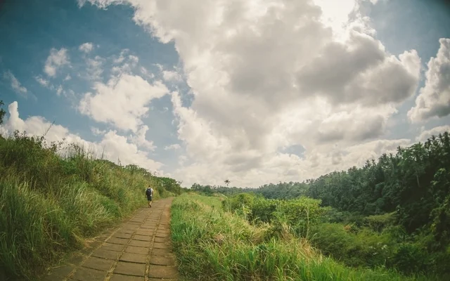 Campuhan Ridge Walk