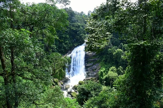 Netravali