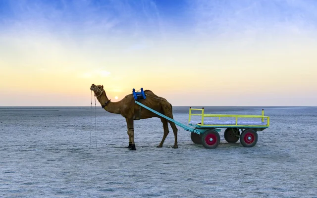 Ahmedabad-to-Kutch