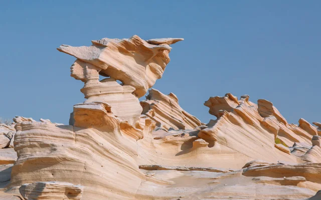 Fossil-rock