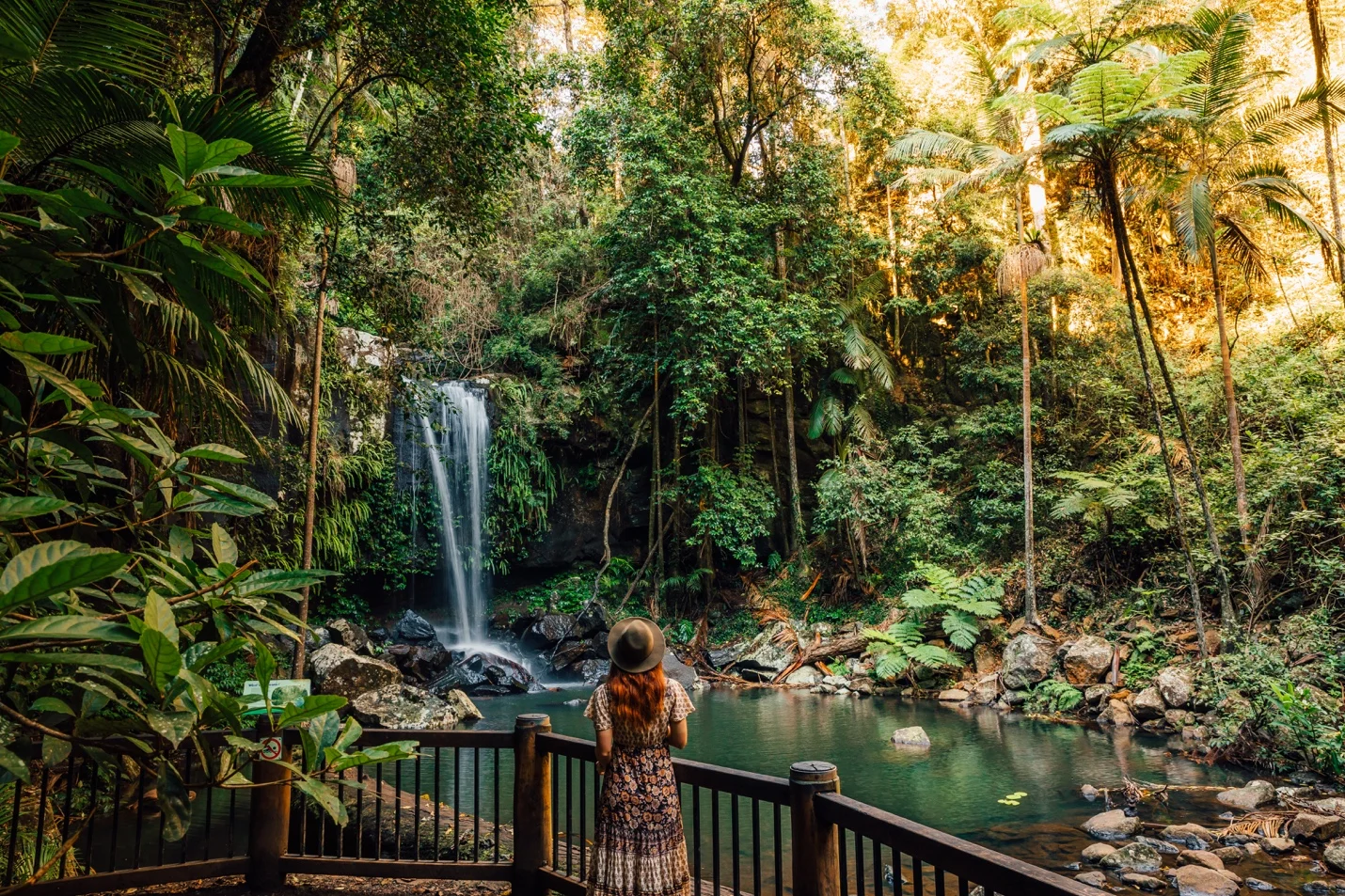 Discover-Gold-Coasts-Hinterland