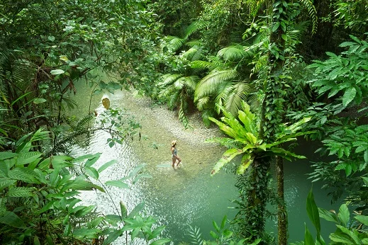 Mossman-Gorge-1