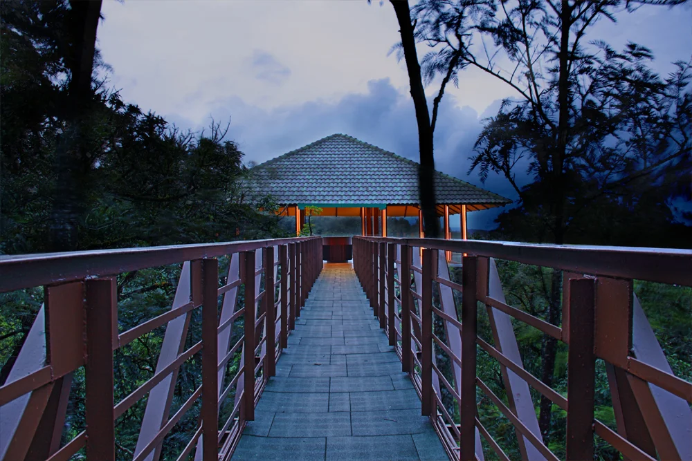 Ibnii-Coorg