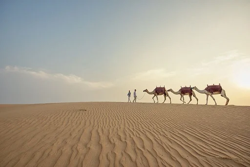 Desert Safari