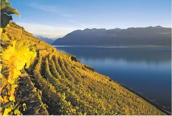 12-swiss-unesco-world-heritage-6