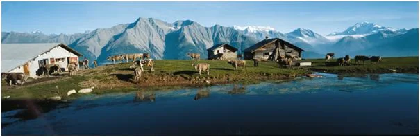 Swiss_mountain