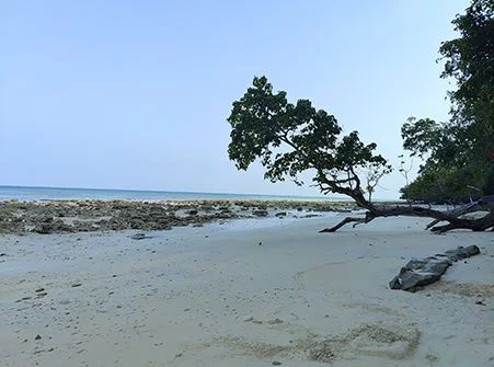 andaman_first_4