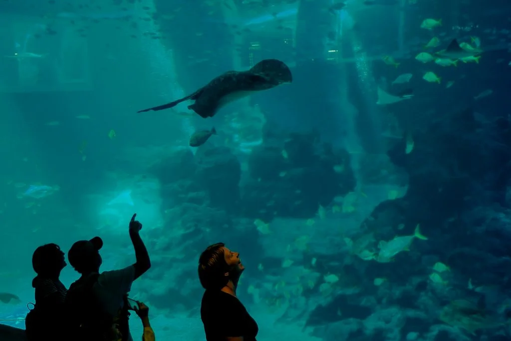 Underwater World