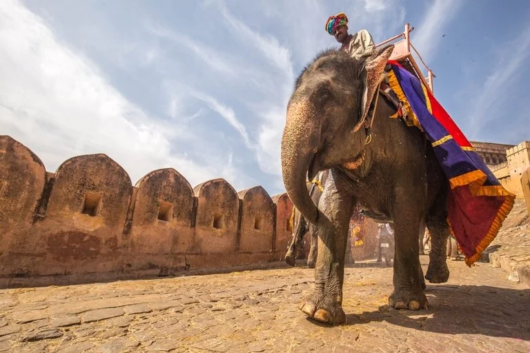 Elephant-Ride-at-Amer-Fort