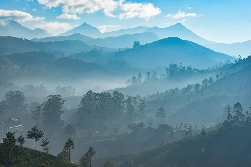 Kerala Honeymoon