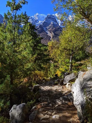 Uttarakhand for Honeymoon