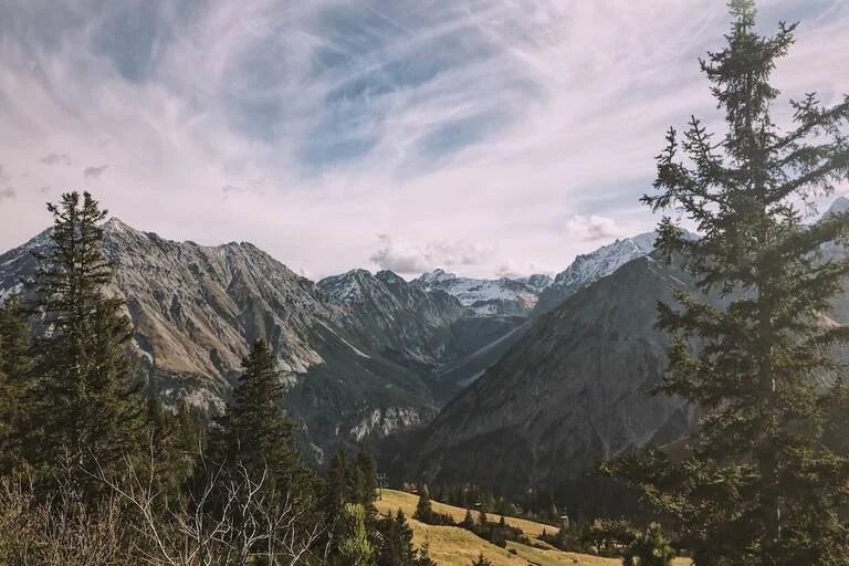 Auli