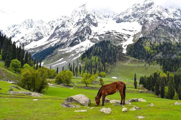 Kashmir: Paradise on Earth