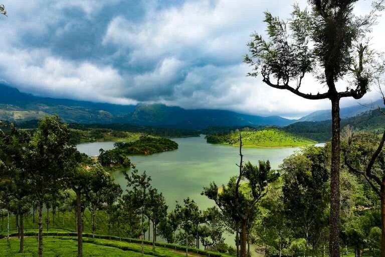 Tea-Plantations-in-Munnar