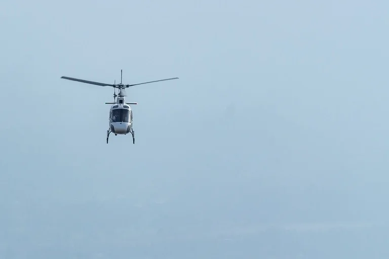 Fly in the sky