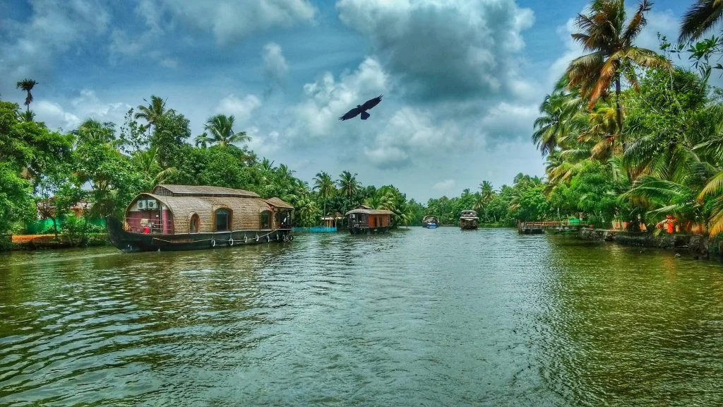 The land of the coconut trees