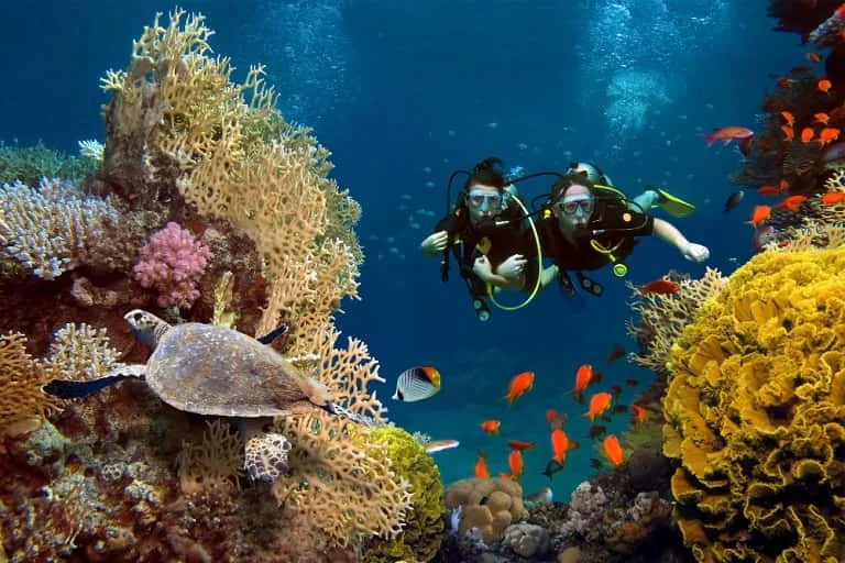 Andaman and Nicobar Islands