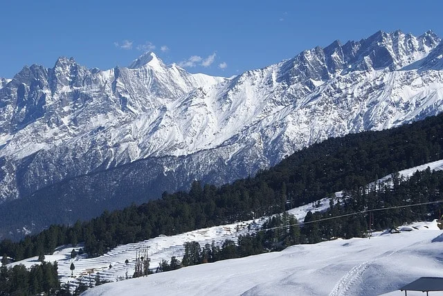 Auli