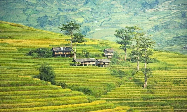 Bali-Indonesia