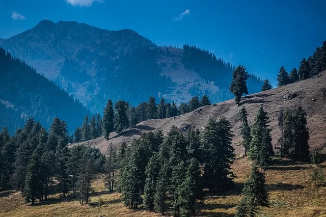 Kashmir