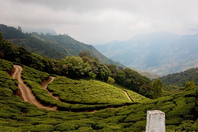 Kodaikanal