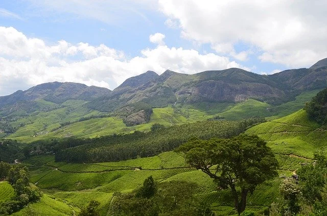 Wayanad