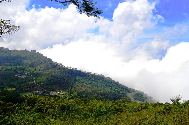 Yercaud