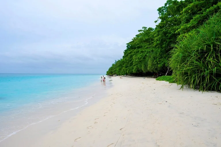 Havelock Island