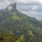 Top 15 Delightful Monsoon Destinations in Maharashtra
