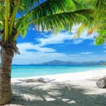 Top 8 Things to do in Andaman in Winter