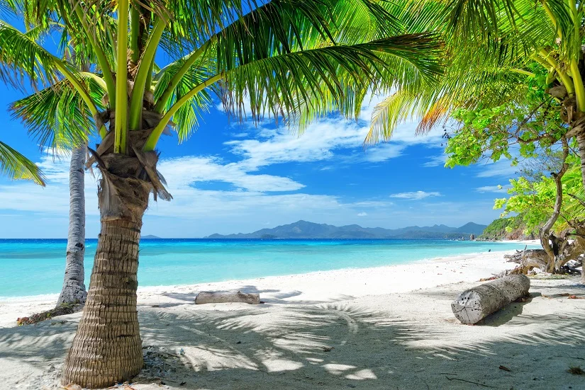 Top 8 Things to do in Andaman in Winter