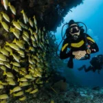 Top 10 Adventurous Activities to Do in Maldives