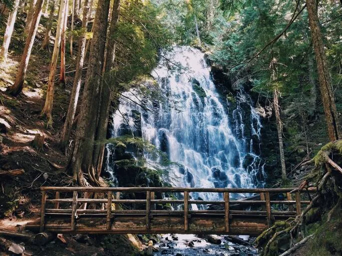 Hidden and Popular Waterfalls in Nainital You Must Explore