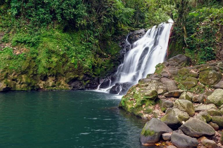 Top 10 Waterfalls in Rishikesh for an Adventurous Getaway